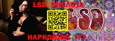 mdpv Заводоуковск