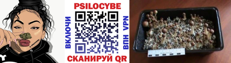 Псилоцибиновые грибы мицелий  Курганинск 