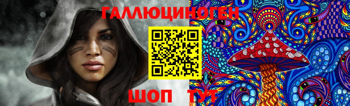 Галлюциногенные грибы Psilocybine cubensis Курганинск