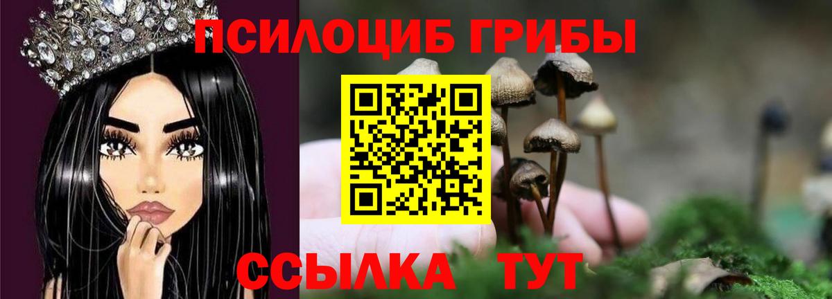 где купить наркотик  Галлюциногенные грибы мицелий  Курганинск  Вход с VPN  Псилоцибиновые грибы ЛСД 