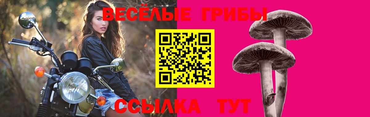 Псилоцибиновые грибы Psilocybe  Курганинск  Псилоцибиновые грибы мухоморы 